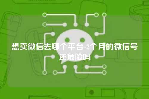 想卖微信去哪个平台-2个月的微信号还危险吗