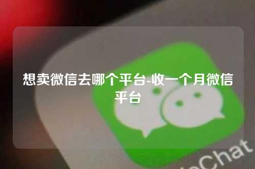 想卖微信去哪个平台-收一个月微信平台