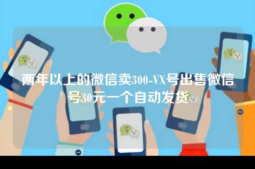 两年以上的微信卖300-VX号出售微信号30元一个自动发货