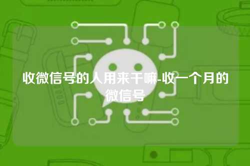 收微信号的人用来干嘛-收一个月的微信号