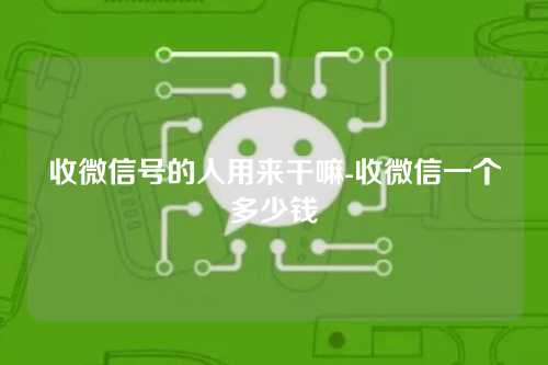 收微信号的人用来干嘛-收微信一个多少钱