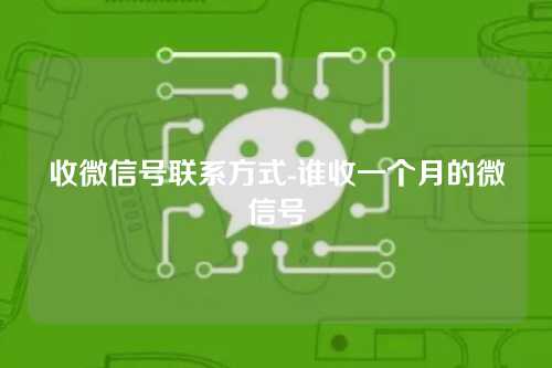 收微信号联系方式-谁收一个月的微信号